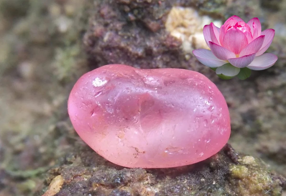 Padparadscha Sapphire: Lotus Flower Sapphire - Geology In