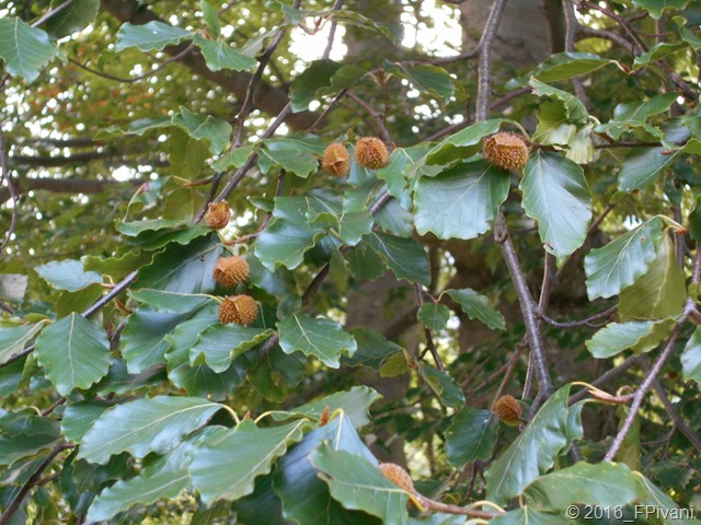 DSCN1864