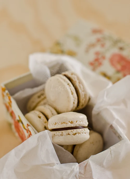 Gingerbread Macarons