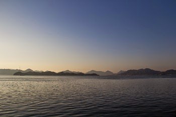 IMG_0416
