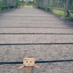 Wallpaper Danbo @ digaleri.com