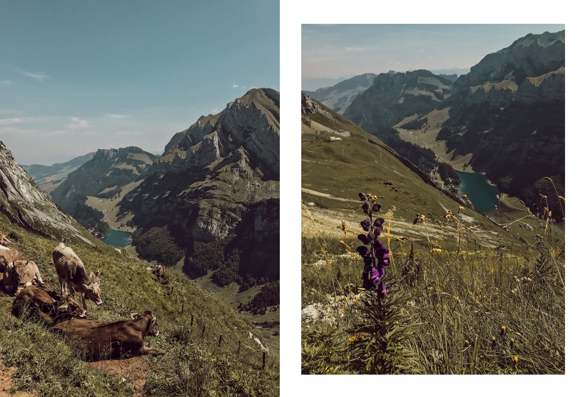 Alpstein Appenzeller Land schönste Wanderung Schweiz Höhenbergweg Äscher Wildkirchli Schäfler Grat Mesmer Seealpsee Aescher