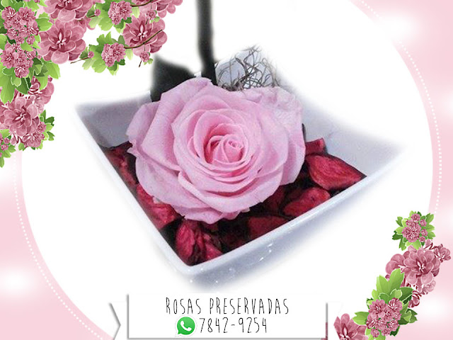 Centros de Mesa con Rosas Preservadas Arreglos Decoración Manualidades