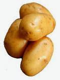 Khasiat buah kentang