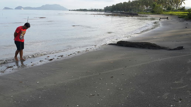 Keindahan pantai alami