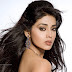 South Indian Shriya Saran Hot HD Photos