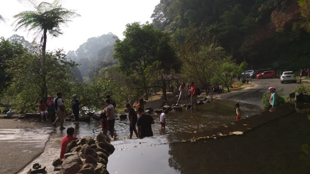 Kebun Raya Cibodas