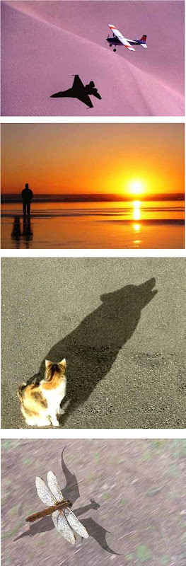 100-Amazing-&-Cool-Funny-Pictures-75 Image alt tage here