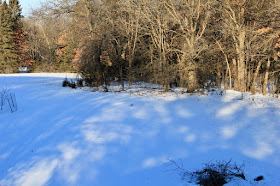 after the wind, hillside snow without tracks