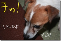 今日カズ１００２１２　２