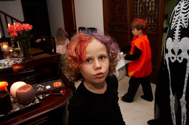 2008 nov 23