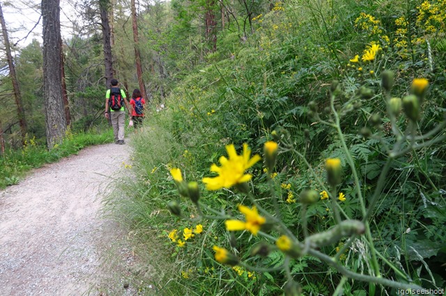 Hiking the AHV Weg trail in Zermatt