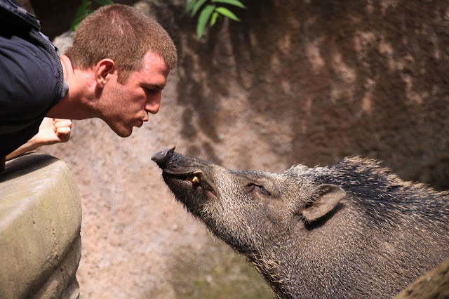 bali zoo