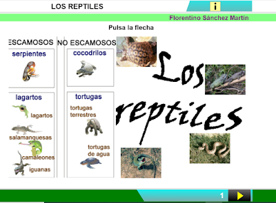 https://cplosangeles.educarex.es/web/edilim/curso_3/cmedio/animales_vertebrados_3/reptiles/reptiles.html
