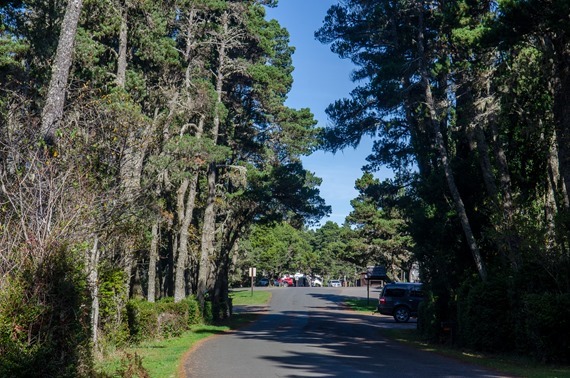 Bullards Beach SP Campground