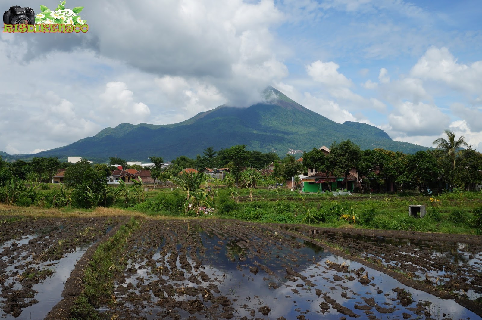 Perjalananku Pemandangan Gunung Arjuna Welirang 23 