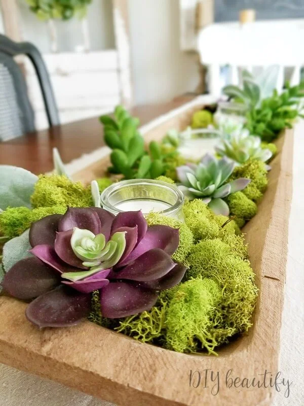 succulent centerpiece