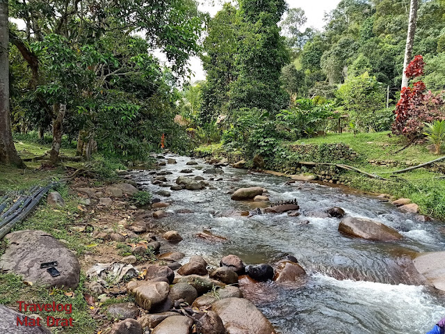 Damai Arcadia Resort - Homestay Janda Baik Tepi Sungai