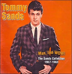 Men's Fashion Haircut Styles With Image Tommy Sands Classic Bouffant Hairstyle Picture 2