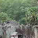 View album