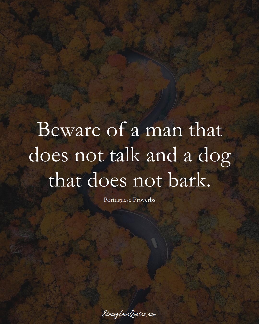 Beware of a man that does not talk and a dog that does not bark. (Portuguese Sayings);  #EuropeanSayings