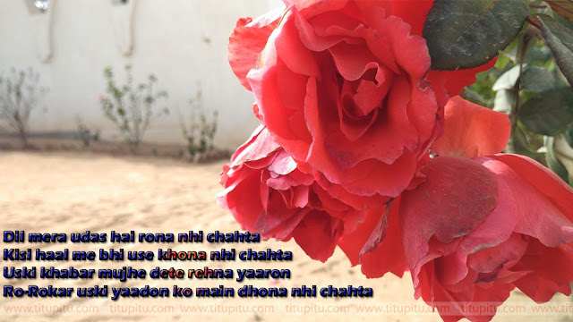 Hindi sad shayari with images dard bhari Shayari in Hindi