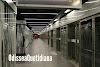 Metro C: circolazione interrotta per allarme bomba