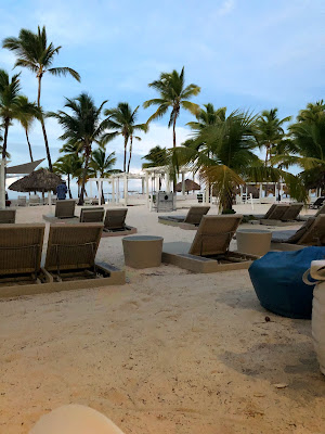 A beach lined with trees and loungers. In the distance, the ocean