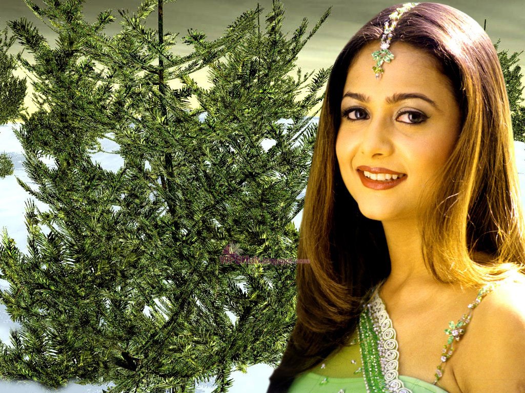 Wallpapers Hub: Latest photoshoot of Bollywood Perfect Girl - Amrita ...