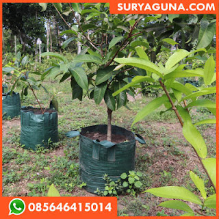 planter bag dari suryaguna 085646415014