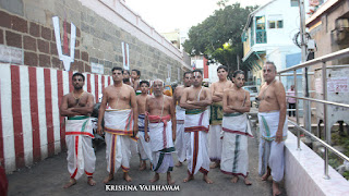 Karthigai,Thiruvonam,Purappadu,2016, Video, Divya Prabhandam,Triplicane,Thiruvallikeni,Utsavam,