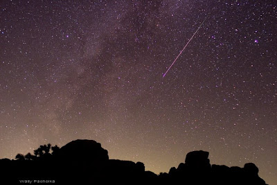 A meteor falls during the Perseid Meteor Shower over Joshua Tree National Park