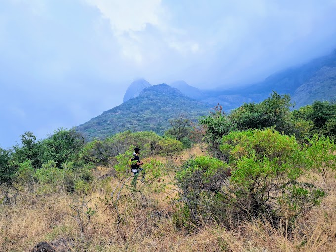 Trek to the Elephant Corridor of Ponnuthu Amman