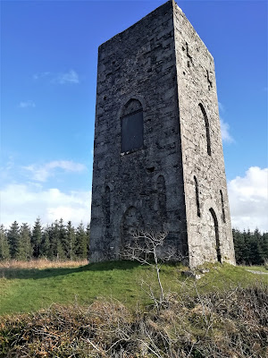 Wellington Monument, Grange.