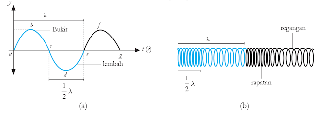 Gambar (a) Gelombang transversal dan (b) Gelombang longitudinal