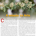 A Missão da Arte