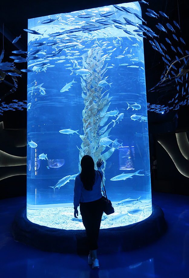  Jakarta Aquarium  Review The Sweetest Escape