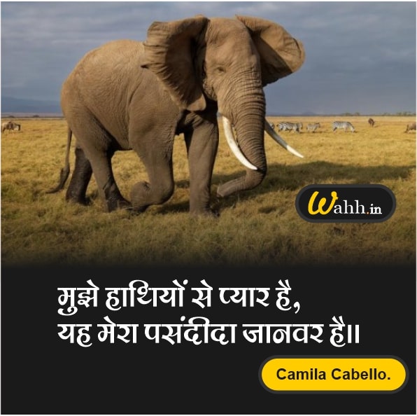 Elephant Captions In Hindi