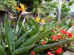 P1110408