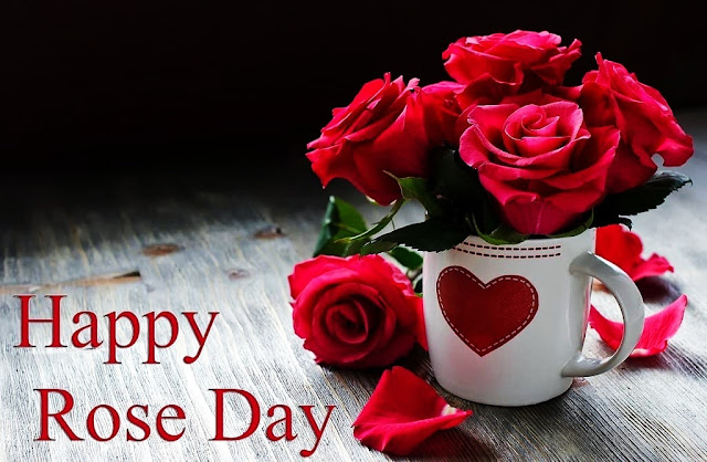 Love Rose Day Images