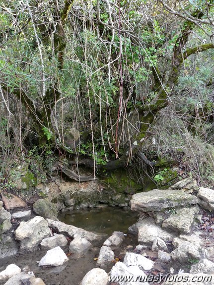 Ubrique - Puntal de la Raya