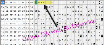 Computer Tips:  Open a File with No Extension