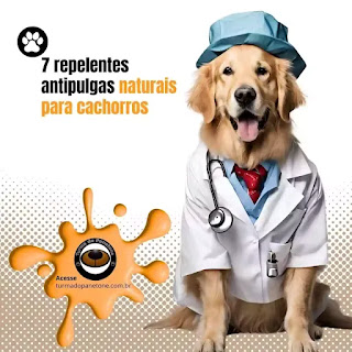 7 repelentes antipulgas naturais para cachorros