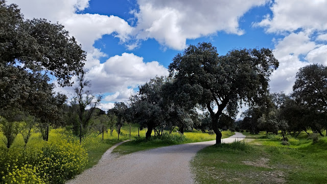 Camino de los Romeros