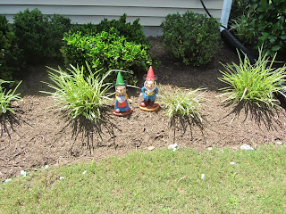 Gardening with Bobbins of Basil | bobbinsofbasil.blogspot.com