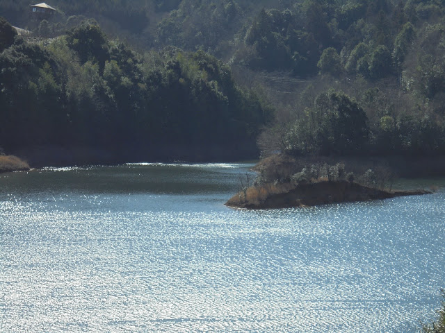緑水湖の風景