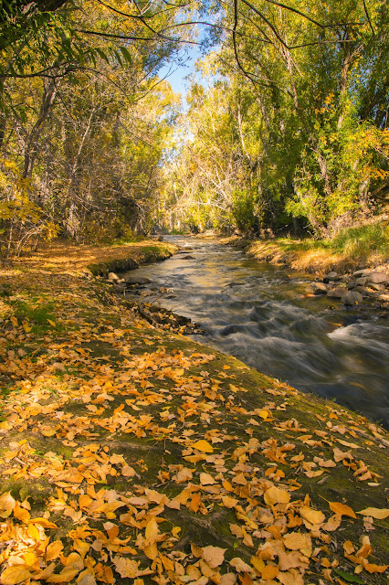 Bear Creek Lake Park