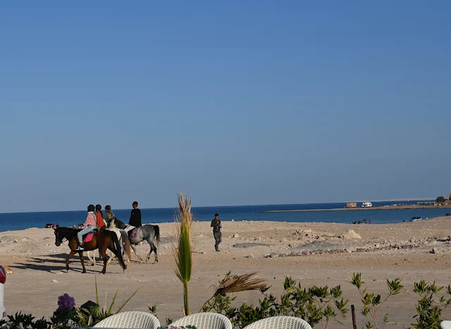 Horse Riding Hurghada Excursions