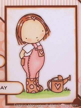 PFP challenge 103 - pink & brown or blue & brown (close up)
