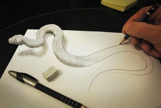 snake anamorphic drawing